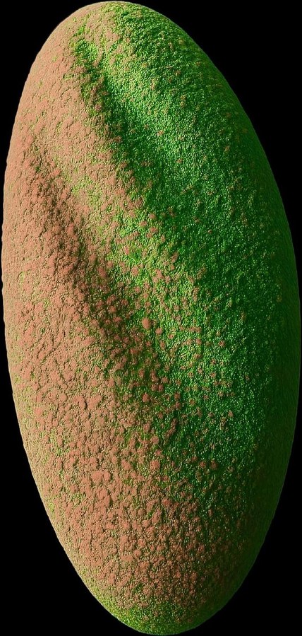Antep Fistigi Mousse